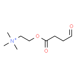 ChemSpider 2D Image | N,N,N-Trimethyl-2-[(4-oxobutanoyl)oxy]ethanaminium | C9H18NO3