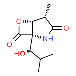 ChemSpider 2D Image | (1S,4S,5R)-1-[(1R)-1-Hydroxy-2-methylpropyl]-4-methyl-6-oxa-2-azabicyclo[3.2.0]heptane-3,7-dione | C10H15NO4
