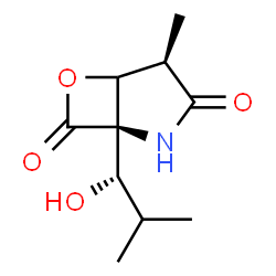 ChemSpider 2D Image | (1R,4R)-1-[(1S)-1-Hydroxy-2-methylpropyl]-4-methyl-6-oxa-2-azabicyclo[3.2.0]heptane-3,7-dione | C10H15NO4