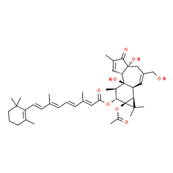 ChemSpider 2D Image | O~15~-[(1aS,1bS,4aR,7aS,7bS,8R,9R,9aS)-9a-Acetoxy-4a,7b-dihydroxy-3-(hydroxymethyl)-1,1,6,8-tetramethyl-5-oxo-1a,1b,4,4a,5,7a,7b,8,9,9a-decahydro-1H-cyclopropa[3,4]benzo[1,2-e]azulen-9-yl]retinoic aci
d | C42H56O8