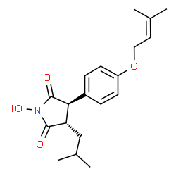 ChemSpider 2D Image | (3S,4R)-1-Hydroxy-3-isobutyl-4-{4-[(3-methyl-2-buten-1-yl)oxy]phenyl}-2,5-pyrrolidinedione | C19H25NO4