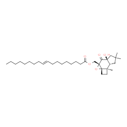 ChemSpider 2D Image | [(2aS,3aS,4aS,7aR,7bR)-4a-Hydroxy-6,6,7b-trimethyl-4-oxooctahydrocyclobuta[4,5]indeno[5,6-b]oxiren-3a(2H)-yl]methyl (9E)-9-octadecenoate | C33H54O5