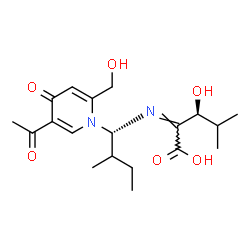 ChemSpider 2D Image | (2Z,3S)-2-({(1R)-1-[5-Acetyl-2-(hydroxymethyl)-4-oxo-1(4H)-pyridinyl]-2-methylbutyl}imino)-3-hydroxy-4-methylpentanoic acid | C19H28N2O6