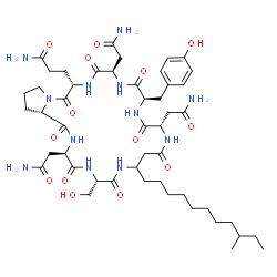 ChemSpider 2D Image | 3-[(3R,6S,13S,16R,19R,22S,27aS)-3,13,19-Tris(2-amino-2-oxoethyl)-16-(4-hydroxybenzyl)-6-(hydroxymethyl)-9-(9-methylundecyl)-1,4,7,11,14,17,20,23-octaoxohexacosahydro-1H-pyrrolo[2,1-i][1,4,7,10,13,16,1
9,22]octaazacyclopentacosin-22-yl]propanamide | C49H76N12O14