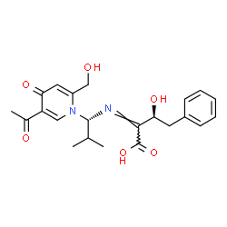 ChemSpider 2D Image | (2Z,3S)-2-({(1R)-1-[5-Acetyl-2-(hydroxymethyl)-4-oxo-1(4H)-pyridinyl]-2-methylpropyl}imino)-3-hydroxy-4-phenylbutanoic acid | C22H26N2O6