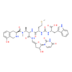 ChemSpider 2D Image | N-{[(2S)-1-({(2S,3S)-1-({(Z)-[(4R,5R)-5-(2,4-Dioxo-3,4-dihydro-1(2H)-pyrimidinyl)-4-hydroxydihydro-2(3H)-furanylidene]methyl}amino)-3-[{[(3S)-8-hydroxy-1,2,3,4-tetrahydro-3-isoquinolinyl]carbonyl}(met
hyl)amino]-1-oxo-2-butanyl}amino)-4-(methylsulfanyl)-1-oxo-2-butanyl]carbamoyl}-L-tryptophan | C41H49N9O11S