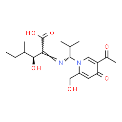 ChemSpider 2D Image | (2Z,3S)-2-({(1R)-1-[5-Acetyl-2-(hydroxymethyl)-4-oxo-1(4H)-pyridinyl]-2-methylpropyl}imino)-3-hydroxy-4-methylhexanoic acid (non-preferred name) | C19H28N2O6