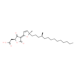 ChemSpider 2D Image | {(2S,4Z)-4-[(5R)-5-Methyl-5-[(4S)-4-methyltetradecyl]-2(5H)-furanylidene]-3,5-dioxotetrahydro-2-furanyl}acetic acid | C26H40O6