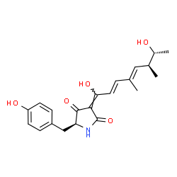ChemSpider 2D Image | (3E,5S)-3-[(2E,4E,6S,7R)-1,7-Dihydroxy-4,6-dimethyl-2,4-octadien-1-ylidene]-5-(4-hydroxybenzyl)-2,4-pyrrolidinedione | C21H25NO5