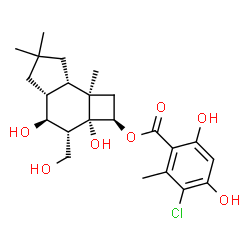 ChemSpider 2D Image | (2R,2aR,3R,4S,4aR,7aS,7bR)-2a,4-Dihydroxy-3-(hydroxymethyl)-6,6,7b-trimethyldecahydro-1H-cyclobuta[e]inden-2-yl 3-chloro-4,6-dihydroxy-2-methylbenzoate | C23H31ClO7