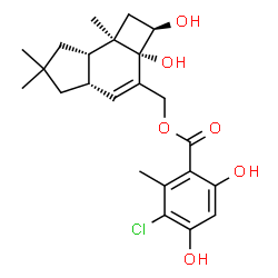 ChemSpider 2D Image | [(2R,2aS,4aS,7aS,7bR)-2,2a-Dihydroxy-6,6,7b-trimethyl-2,2a,4a,5,6,7,7a,7b-octahydro-1H-cyclobuta[e]inden-3-yl]methyl 3-chloro-4,6-dihydroxy-2-methylbenzoate | C23H29ClO6
