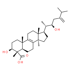 ChemSpider 2D Image | (3beta,22R)-3,22-Dihydroxy-24-methylenelanost-8-en-28-oic acid | C31H50O4