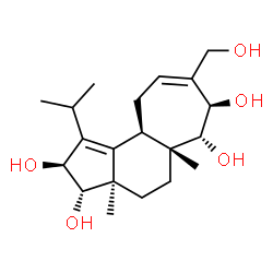 ChemSpider 2D Image | (2S,3S,3aR,5aR,6R,7R,10aR)-8-(Hydroxymethyl)-1-isopropyl-3a,5a-dimethyl-2,3,3a,4,5,5a,6,7,10,10a-decahydrocyclohepta[e]indene-2,3,6,7-tetrol | C20H32O5