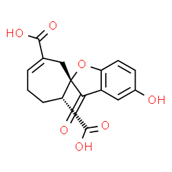 ChemSpider 2D Image | (2S,2'R)-5-Hydroxy-3-oxo-3H-spiro[1-benzofuran-2,1'-cyclohept[5]ene]-2',6'-dicarboxylic acid | C16H14O7