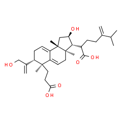 ChemSpider 2D Image | (2R)-2-[(2R,3R,3aR,6S,7R,9bR)-6-(2-Carboxyethyl)-2-hydroxy-7-(3-hydroxy-1-propen-2-yl)-3a,6,9b-trimethyl-2,3,3a,4,6,7,8,9b-octahydro-1H-cyclopenta[a]naphthalen-3-yl]-6-methyl-5-methyleneheptanoic acid | C31H46O6