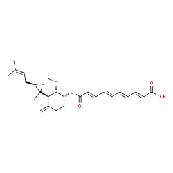 ChemSpider 2D Image | (2E,4E,6E,8E)-10-({(1R,2S,3R)-2-Methoxy-4-methylene-3-[(2R,3R)-2-methyl-3-(3-methyl-2-buten-1-yl)-2-oxiranyl]cyclohexyl}oxy)-10-oxo-2,4,6,8-decatetraenoic acid | C26H34O6