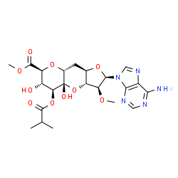 ChemSpider 2D Image | Methyl (2R,3S,3aR,4aS,5S,6S,7S,8aR,9aR)-2-(6-amino-9H-purin-9-yl)-4a,6-dihydroxy-5-(isobutyryloxy)-3-methoxydecahydrofuro[3,2-b]pyrano[2,3-e]pyran-7-carboxylate | C22H29N5O10