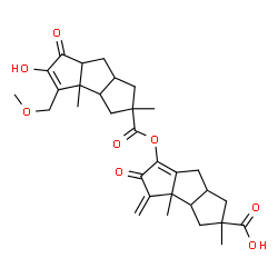 ChemSpider 2D Image | 6-({[5-Hydroxy-4-(methoxymethyl)-2,3b-dimethyl-6-oxo-2,3,3a,3b,6,6a,7,7a-octahydro-1H-cyclopenta[a]pentalen-2-yl]carbonyl}oxy)-2,3b-dimethyl-4-methylene-5-oxo-2,3,3a,3b,4,5,7,7a-octahydro-1H-cyclopent
a[a]pentalene-2-carboxylic acid | C31H38O8