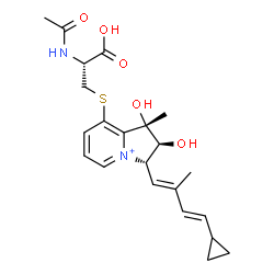 ChemSpider 2D Image | N-Acetyl-S-{(1S,2S,3S)-3-[(1E,3E)-4-cyclopropyl-2-methyl-1,3-butadien-1-yl]-1,2-dihydroxy-1-methyl-2,3-dihydro-1H-indolizinium-8-yl}-L-cysteine | C22H29N2O5S