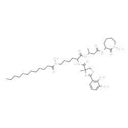ChemSpider 2D Image | 4-[(1-Hydroxy-2-oxo-3-azepanyl)amino]-4-oxo-2-butanyl N~2~-{[2-(2,3-dihydroxyphenyl)-4-methyl-4,5-dihydro-1,3-oxazol-4-yl]carbonyl}-N~6~-dodecanoyl-N~6~-hydroxylysinate | C39H61N5O11