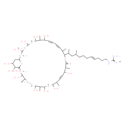 ChemSpider 2D Image | 1-{(4E)-11-[(12E,20E)-3,5,7,9,19,23,25,27,31,33,34,35-Dodecahydroxy-8,14,18,22,26,30-hexamethyl-17-oxo-16,37-dioxabicyclo[31.3.1]heptatriaconta-10,12,20-trien-15-yl]-9-methyl-4-dodecen-1-yl}-2-methylg
uanidine | C56H101N3O15