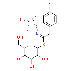 ChemSpider 2D Image | 1-S-[(1E)-2-(4-Hydroxyphenyl)-N-(sulfooxy)ethanimidoyl]-1-thiohexopyranose | C14H19NO10S2