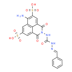 ChemSpider 2D Image | 6-Amino-2-({[(2E)-2-benzylidenehydrazino]carbonyl}amino)-1,3-dioxo-2,3-dihydro-1H-benzo[de]isoquinoline-5,8-disulfonic acid | C20H15N5O9S2