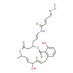 ChemSpider 2D Image | (2E,4E)-N-{(1E)-3-[(8E,11E)-10,17-Dihydroxy-7,11-dimethyl-1,5-dioxo-1,4,5,7,10,13-hexahydro-3H-2,6-benzodioxacyclopentadecin-3-yl]-1-propen-1-yl}-4-(methoxyimino)-2-butenamide | C27H32N2O8