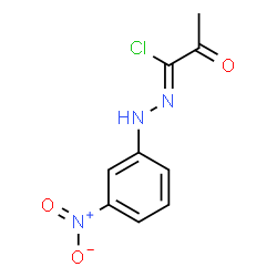 ChemSpider 2D Image | (1Z)-N-(3-Nitrophenyl)-2-oxopropanehydrazonoyl chloride | C9H8ClN3O3