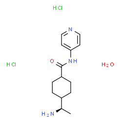 ChemSpider 2D Image | 4-[(1R)-1-Aminoethyl]-N-(4-pyridinyl)cyclohexanecarboxamide dihydrochloride hydrate | C14H25Cl2N3O2