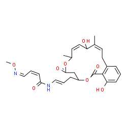 ChemSpider 2D Image | (2Z,4Z)-N-{(1E)-3-[(11Z)-10,17-Dihydroxy-7,11-dimethyl-1,5-dioxo-1,4,5,7,10,13-hexahydro-3H-2,6-benzodioxacyclopentadecin-3-yl]-1-propen-1-yl}-4-(methoxyimino)-2-butenamide | C27H32N2O8