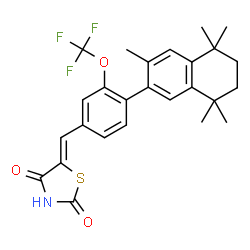 ChemSpider 2D Image | (5Z)-5-[4-(3,5,5,8,8-Pentamethyl-5,6,7,8-tetrahydro-2-naphthalenyl)-3-(trifluoromethoxy)benzylidene]-1,3-thiazolidine-2,4-dione | C26H26F3NO3S