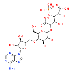 ChemSpider 2D Image | 2-[(2R,3R,4R,5S,6R)-5-[[(3R,4S,5S)-5-(6-aminopurin-9-yl)-3,4-dihydroxy-tetrahydrofuran-2-yl]methoxy]-3,4-dihydroxy-6-(hydroxymethyl)tetrahydropyran-2-yl]oxy-3,5-dihydroxy-4-phosphonooxy-hexanedioic acid | C22H32N5O19P