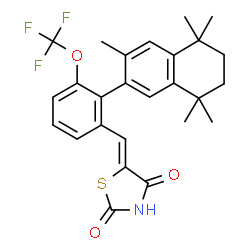 ChemSpider 2D Image | (5Z)-5-[2-(3,5,5,8,8-Pentamethyl-5,6,7,8-tetrahydro-2-naphthalenyl)-3-(trifluoromethoxy)benzylidene]-1,3-thiazolidine-2,4-dione | C26H26F3NO3S