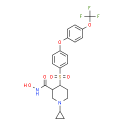 ChemSpider 2D Image | 1-Cyclopropyl-N-hydroxy-4-({4-[4-(trifluoromethoxy)phenoxy]phenyl}sulfonyl)-3-piperidinecarboxamide | C22H23F3N2O6S
