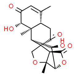 ChemSpider 2D Image | (1R,4R,5R,8S,9R,10R,11S,12S,16S)-9,12-Dihydroxy-4,11,15-trimethyl-3,7-dioxapentacyclo[8.8.0.0~1,5~.0~4,8~.0~11,16~]octadec-14-ene-6,13,18-trione | C19H22O7