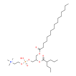 ChemSpider 2D Image | 4-Hydroxy-N,N,N-trimethyl-10-oxo-7-[(2-propylpentanoyl)oxy]-3,5,9-trioxa-4-phosphapentacosan-1-aminium 4-oxide | C32H65NO8P