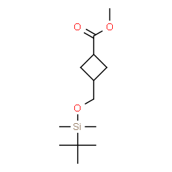 ChemSpider 2D Image | methyl 3-(((tert-butyldimethylsilyl)oxy)methyl)cyclobutanecarboxylate | C13H26O3Si