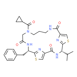 ChemSpider 2D Image | (4S,18S)-18-Benzyl-14-(cyclopropylcarbonyl)-4-isopropyl-6,20-dithia-3,10,14,17,22,23-hexaazatricyclo[17.2.1.1~5,8~]tricosa-1(21),5(23),7,19(22)-tetraene-2,9,16-trione | C29H34N6O4S2