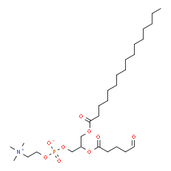 ChemSpider 2D Image | 2-[(5-Oxopentanoyl)oxy]-3-(palmitoyloxy)propyl 2-(trimethylammonio)ethyl phosphate | C29H56NO9P