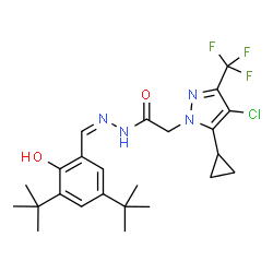 ChemSpider 2D Image | 2-[4-Chloro-5-cyclopropyl-3-(trifluoromethyl)-1H-pyrazol-1-yl]-N'-{(Z)-[2-hydroxy-3,5-bis(2-methyl-2-propanyl)phenyl]methylene}acetohydrazide | C24H30ClF3N4O2