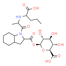 ChemSpider 2D Image | (2S,3S,4S,5R,6S)-6-{[(1-{2-[(1-Carboxybutyl)amino]propanoyl}octahydro-1H-indol-2-yl)carbonyl]oxy}-3,4,5-trihydroxytetrahydro-2H-pyran-2-carboxylic acid | C23H36N2O11