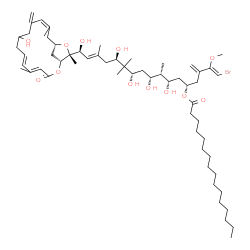 ChemSpider 2D Image | [(E,1S,3S,4S,5R,7S,9R,13S)-1-[(Z)-4-bromo-3-methoxy-2-methylene-but-3-enyl]-3,5,7,9,13-pentahydroxy-13-[(1R,4E,6E,12Z,15S,17R)-9-hydroxy-5,13,17-trimethyl-11-methylene-3-oxo-2,16-dioxabicyclo[13.2.1]octadeca-4,6,12-trien-17-yl]-4,8,8,11-tetramethyl-tridec-11-enyl] hexadecanoate | C59H97BrO12