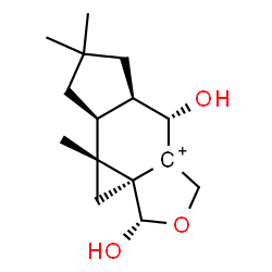 ChemSpider 2D Image | (1aR,2S,5R,5aR,8aS,8bR)-2,5-Dihydroxy-7,7,8b-trimethyloctahydro-1H,4H-cyclopropa[4,5]indeno[5,6-c]furan-4a-ylium | C15H23O3