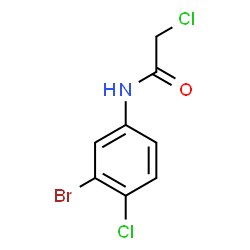 ChemSpider 2D Image | N-(3-Bromo-4-chlorophenyl)-2-chloroacetamide | C8H6BrCl2NO
