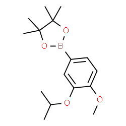 ChemSpider 2D Image | 2-(3-Isopropoxy-4-methoxyphenyl)-4,4,5,5-tetramethyl-1,3,2-dioxaborolane | C16H25BO4