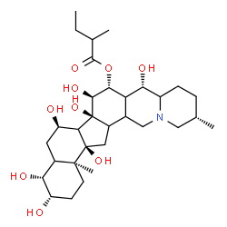 ChemSpider 2D Image | (3S,4R,6R,6bS,7S,8R,9S,12S,16aR,16bS)-3,4,6,6b,7,9,16a-Heptahydroxy-12,16b-dimethyltetracosahydrobenzo[4,5]indeno[1,2-h]pyrido[1,2-b]isoquinolin-8-yl 2-methylbutanoate | C31H51NO9