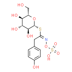 ChemSpider 2D Image | 1-S-[(1E)-2-(4-Hydroxyphenyl)-N-(sulfooxy)ethanimidoyl]-1-thio-beta-L-glucopyranose | C14H19NO10S2