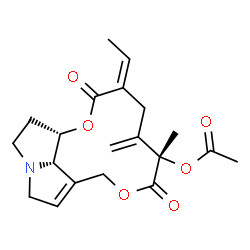 ChemSpider 2D Image | (7beta,8beta,12S,15Z)-11,16-Dioxo-13,19-didehydrosenecionan-12-yl acetate | C20H25NO6