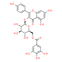ChemSpider 2D Image | 5,7-Dihydroxy-2-(4-hydroxyphenyl)-4-oxo-4H-chromen-3-yl 6-O-(3,4,5-trihydroxybenzoyl)-beta-L-glucopyranoside | C28H24O15